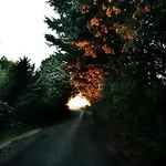 Incantico 