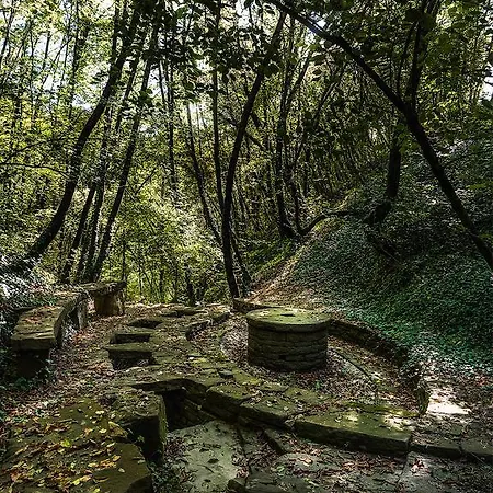 Incantico Eco * Asís