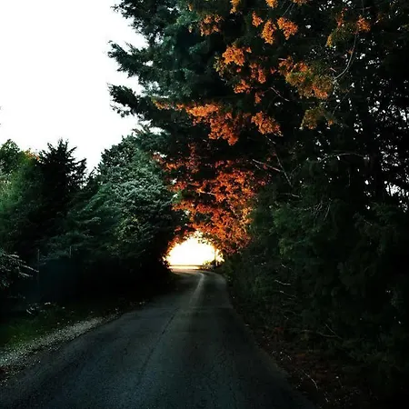 Incantico 