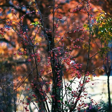 Agroturismo Incantico Eco